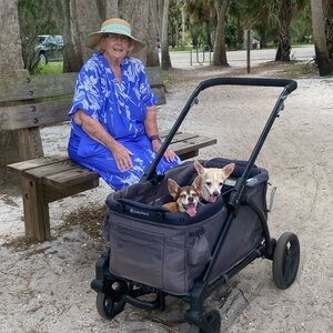 Meet your Posher, Lois